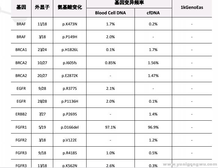 基因检测