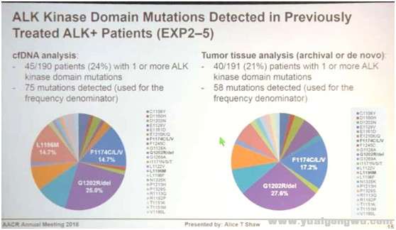 AACR20186.jpg